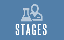 Stages