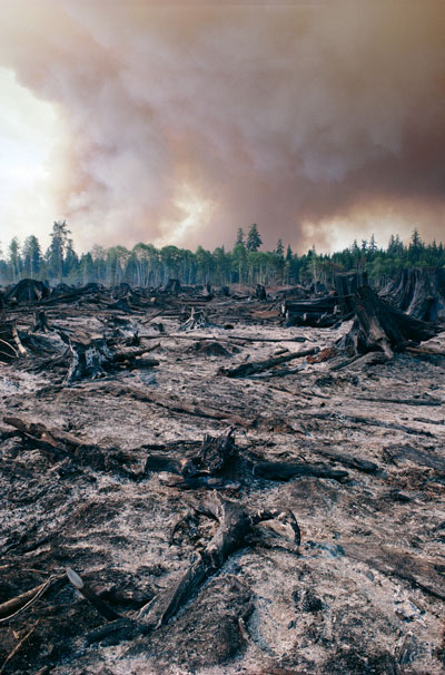 Les feux de forêt contribuent à générer certains types d'aérosols