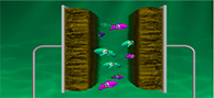 Doper des nanofeuillets de graphène pour des supercondensateurs sur puce