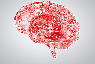 Barrière sang-cerveau : première validation clinique d’un modèle in vitro