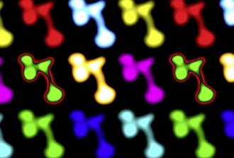 Zoom 3D sur les ARNs longs non codants