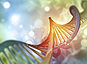 Rayonnements ionisants et UV : quels effets sur l’ADN ?