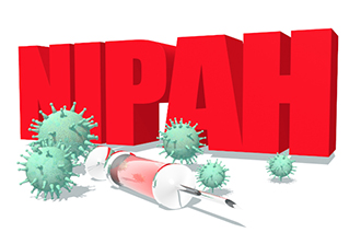 Biologie structurale : mieux connaître le virus Nipah