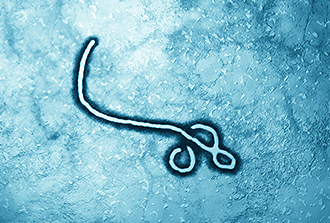 Ebola : vers un nouveau vaccin ?