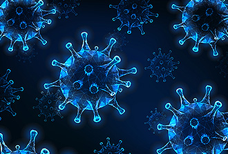 VIH : prédire in vitro l'efficacité d'anticorps