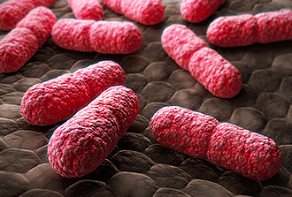 Biologie de synthèse : une bactérie travaille pour nous