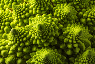 D’où vient la forme du chou romanesco ?