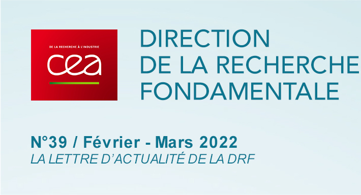 Direction de la Recherche Fondamentale