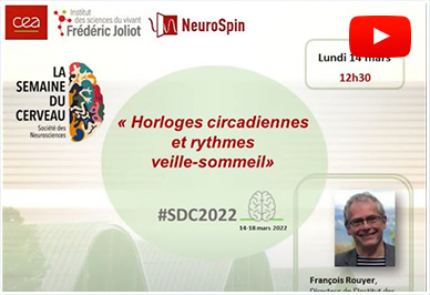 Horloges circadiennes et rythmes veille-sommeil