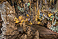 Grotte andalouse de Nerja : des datations de stalagmites perturbées par des transformations minéralogiques