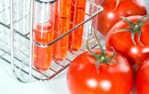 Le séquençage par nanopores vient à bout d’une tomate