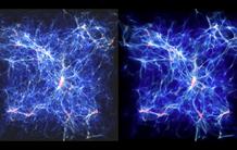 La matière noire sondée à la lumière des quasars 