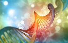 Rayonnements ionisants et UV : quels effets sur l’ADN ? 