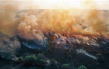 Incendies : des surfaces brûlées en baisse et des émissions de carbone en hausse
