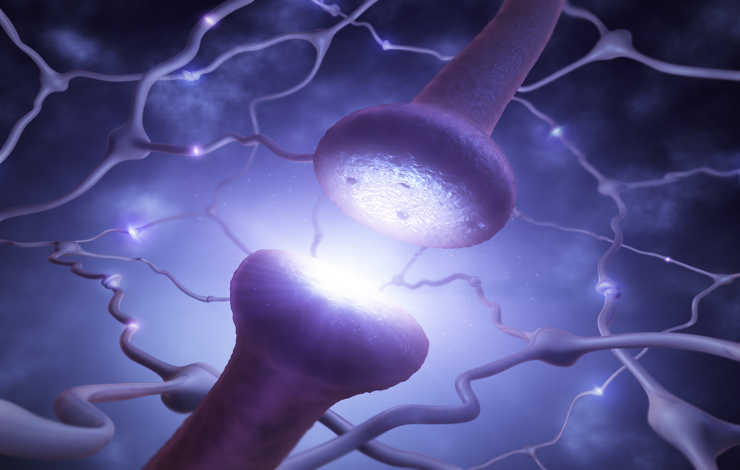 Une « synapse » spintronique pour un futur circuit neuromorphique