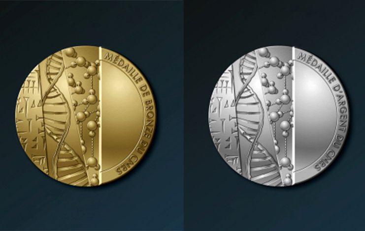 Médailles CNRS 2024 : deux d’argent et deux de bronze 