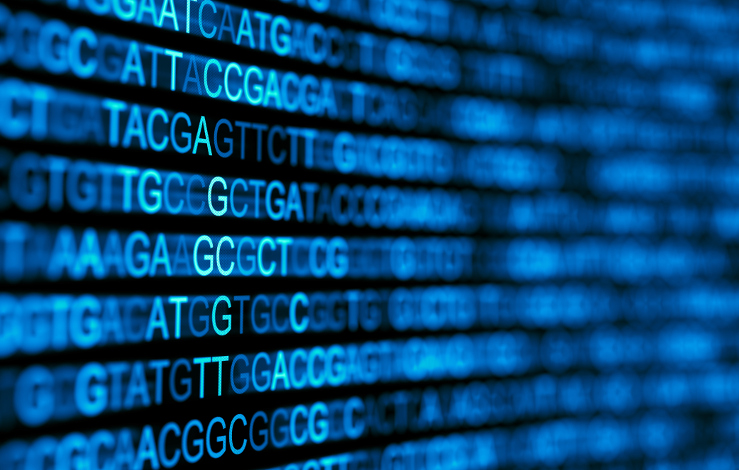 kmindex : un nouvel outil pour l’exploration des données massives de séquençage  génomique