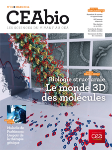Biologie structurale : Le monde 3D des molécules 