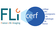 Journée scientifique FLI-CERF 2022