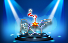 O2 photoactivation for bio-inspired hydrocarbon catalysis