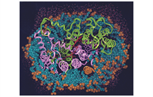 Modélisations moléculaires des protéines membranaires 