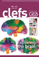 Clefs CEA n°62 - Exploring the brain