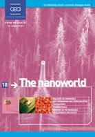 The nanoworld
