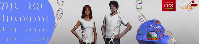 L'Essentiel sur l'ADN