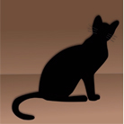 Animation le chat de Schrödinger