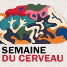 Vivez en live la semaine du cerveau