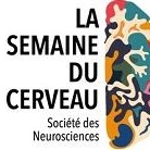 Semaine du cerveau - NeuroSpin CEA Saclay