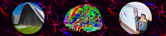 Semaine du cerveau à NeuroSpin - CEA Saclay