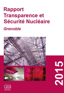 Rapport TSN 2015, CEA Grenoble