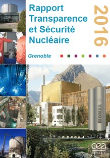 Rapport TSN 2016, CEA Grenoble