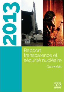 CEA Grenoble, Rapport TSN 2013