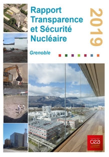 Rapport TSN 2019, CEA Grenoble