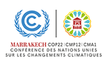Les enjeux de la COP22