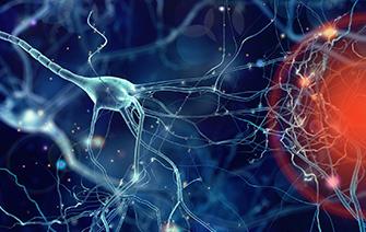 Parkinson : le proche infrarouge limite la mort neuronale, les protéines dans le viseur !