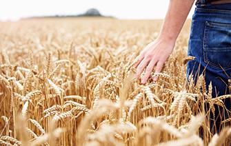 Des « laboratoires vivants » en milieu rural