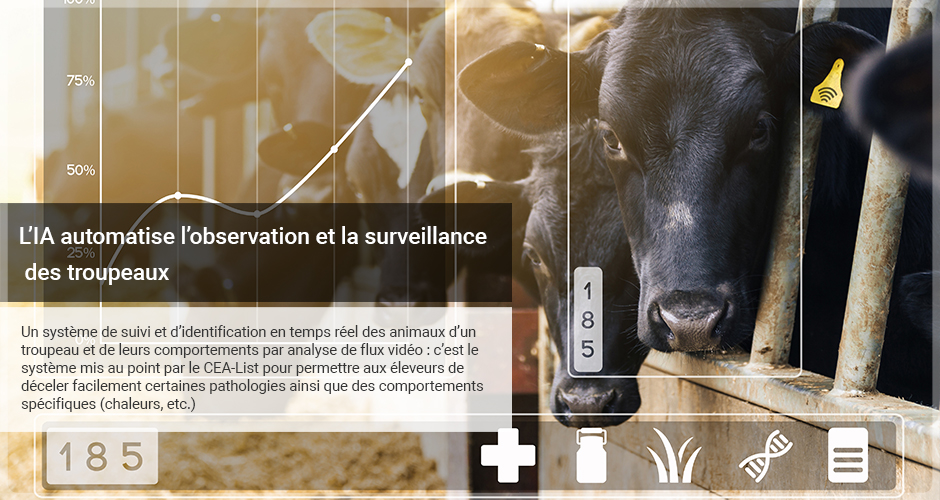 L’IA automatise l’observation et la surveillance des troupeaux