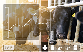 Artificial intelligence automates livestock monitoring