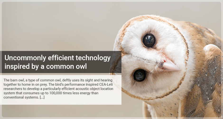 Uncommonly efficient technology inspired by a common owl