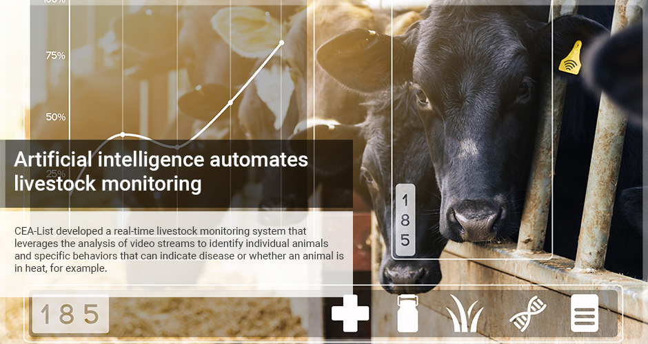 Artificial intelligence automates livestock monitoring