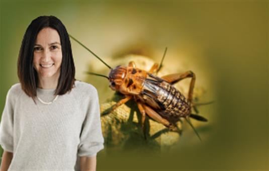 CEA-Leti Scientist, Elisa Vianello, Receives €3 Million ERC Grant To Develop Nanoscale Memories Inspired by Insect Nervous Systems