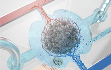 Workshop Organoids & Organoids-on-chip