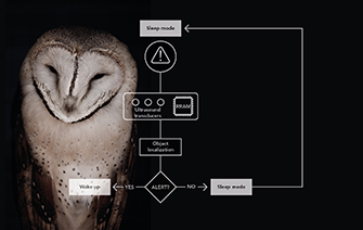 CEA-Leti Barn-Owl Inspired, Object-Localization System Uses Up to ‘5 Orders of Magnitude’ Less Energy than Existing Technology