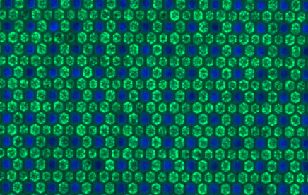 Propolys valide des briques clés pour les micro-écrans LED de demain