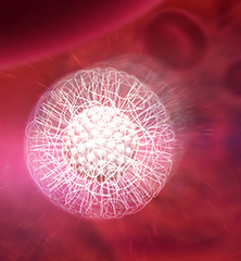 Lipidots