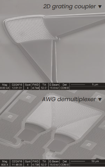 si-pic-platform.PNG