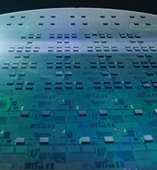 Silicon PIC Platform​
